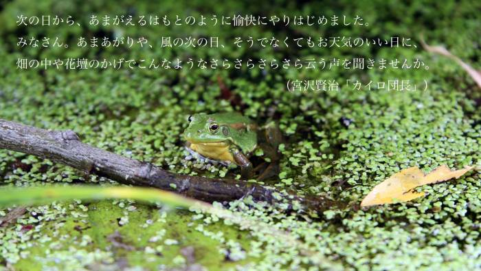 image-02.jpeg