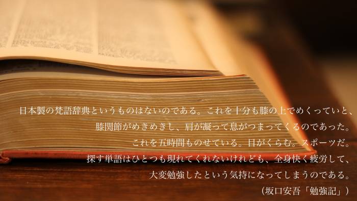 image-04.jpeg