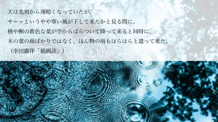 image-05.jpeg