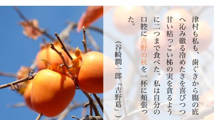 top_images_sample.jpg